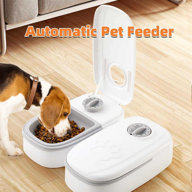 A smart food dispenser designed for both cats and dogs.